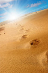 沙漠里的脚印